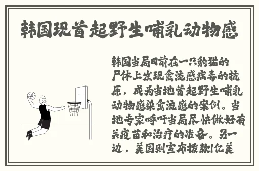 国产精品   黄桃